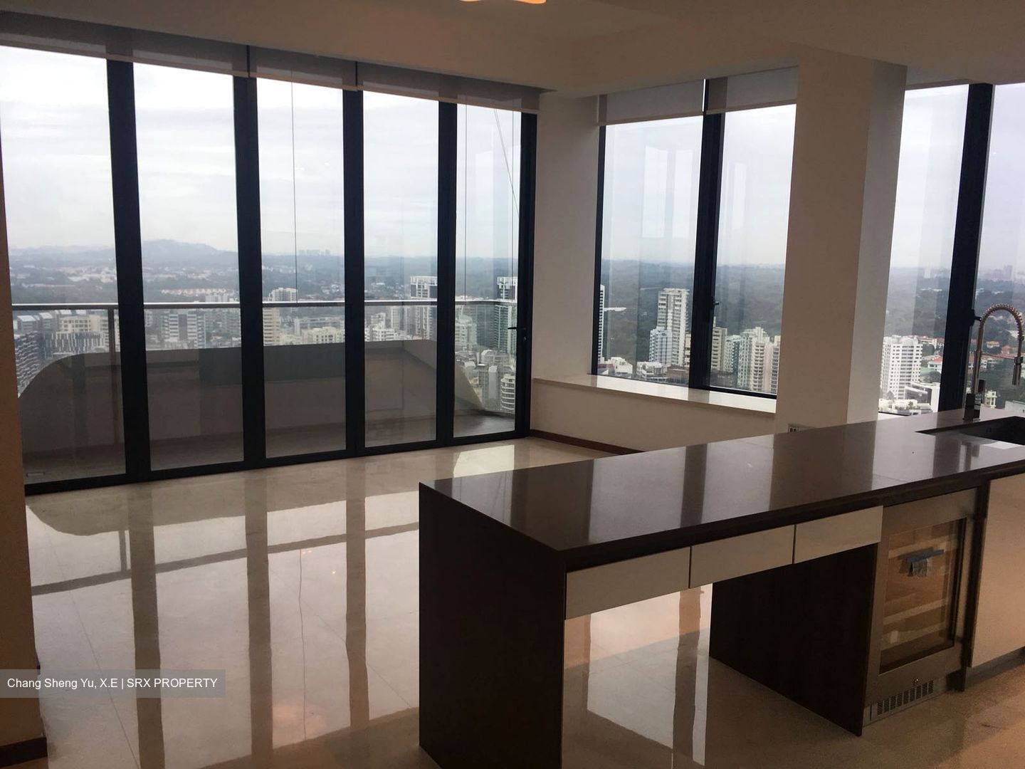 The Scotts Tower (D9), Condominium #431438231